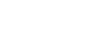 Logo EFE